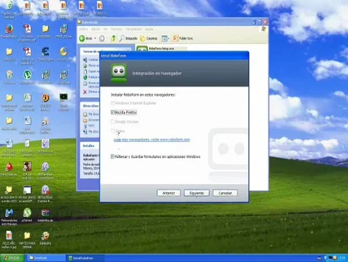 Instalación: Instala el programa, selecciona tu idioma y los navegadores que utilizas. Omite el paso opcional de guardar datos online y selecciona guardar solo en tu ordenador (recomendado para usuarios nuevos).
