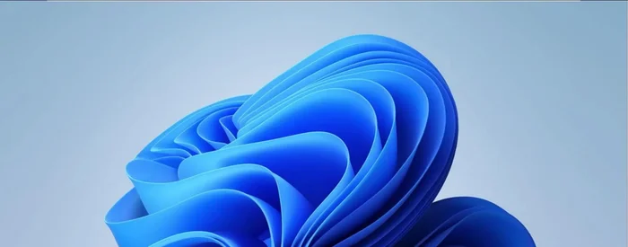 En la sección Cloud, revisa que el interruptor 'Activar Steam Cloud' esté habilitado.