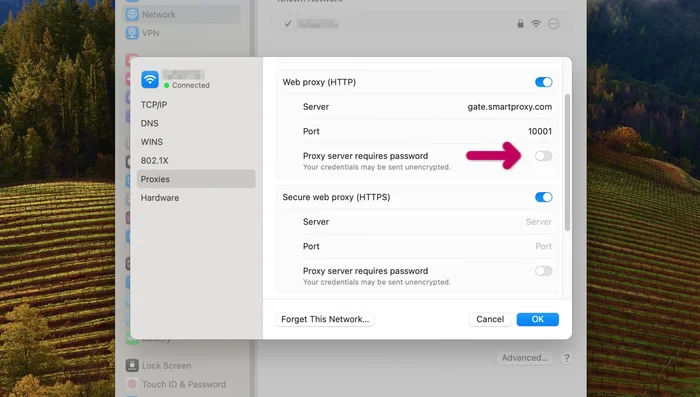Habilitar el interruptor y pegar el nombre de usuario y contraseña.
