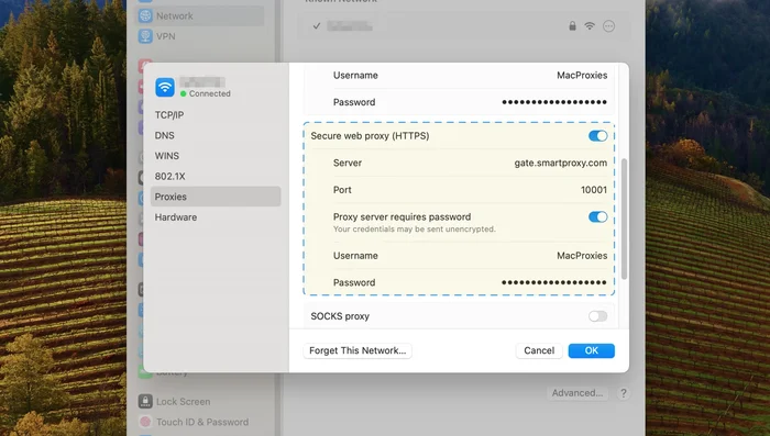 Repetir los pasos para la sección HTTPS y hacer clic en 'Aceptar'.