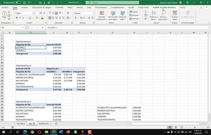 Agregar Segmentación de Datos: Insertar segmentaciones de datos (Año, Mes, Suscriptor) para filtrar la información de las tablas dinámicas. Conectar las segmentaciones de datos a todas las tablas dinámicas para una interacción eficiente.
