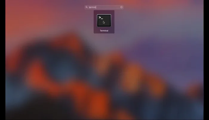 Vuelve a Preferencias del Sistema > Seguridad y Privacidad. Ahora deberías ver la opción "Cualquier sitio".