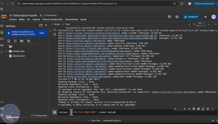 Ejecutar el segundo código para realizar la transcripción.