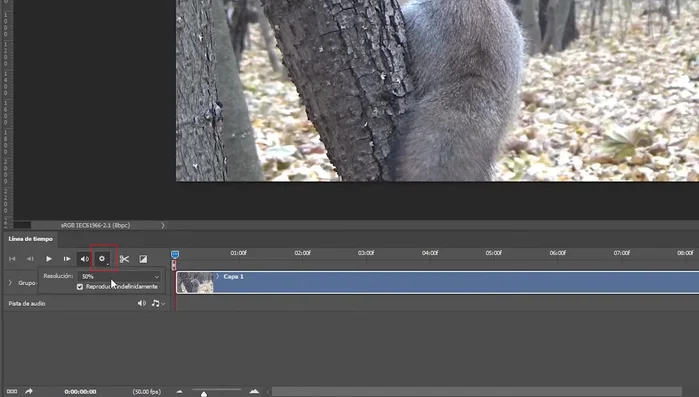 Ajustar la reproducción. En el engranaje de la línea de tiempo, selecciona "Reproducción al 50%" para optimizar recursos. Puedes activar "Reproducir indefinidamente".
