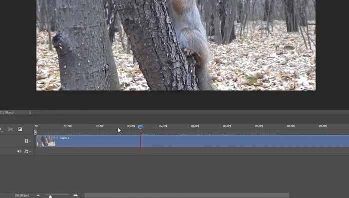 Recortar el video. Utiliza la herramienta de recorte para ajustar el formato del video (cuadrado recomendado para redes sociales). Ajusta el tamaño utilizando los controladores.