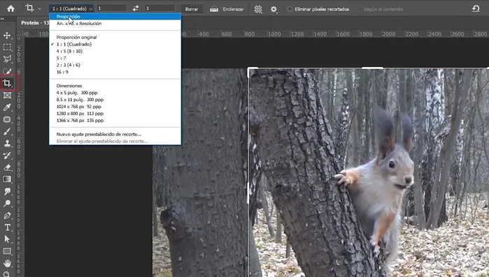 Recortar el video. Utiliza la herramienta de recorte para ajustar el formato del video (cuadrado recomendado para redes sociales). Ajusta el tamaño utilizando los controladores.