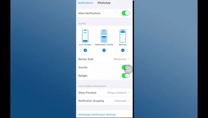 Asegúrese de activar 'Permitir notificaciones'.