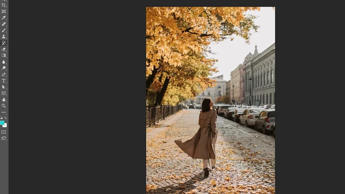 Seleccionar el estilo 'Toque de pintura' en la herramienta Pincel Histórico.