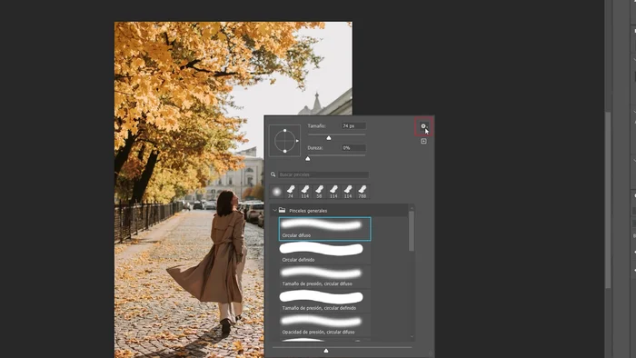 Seleccionar el estilo 'Toque de pintura' en la herramienta Pincel Histórico.