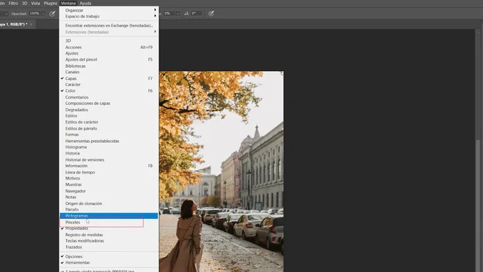 Seleccionar el estilo 'Toque de pintura' en la herramienta Pincel Histórico.