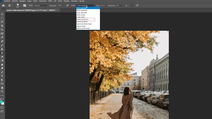 Seleccionar el estilo 'Toque de pintura' en la herramienta Pincel Histórico.