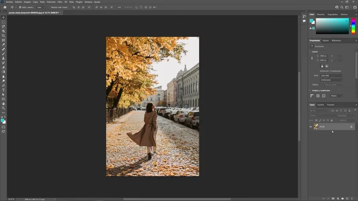 Duplicar la capa para trabajar sobre una copia.