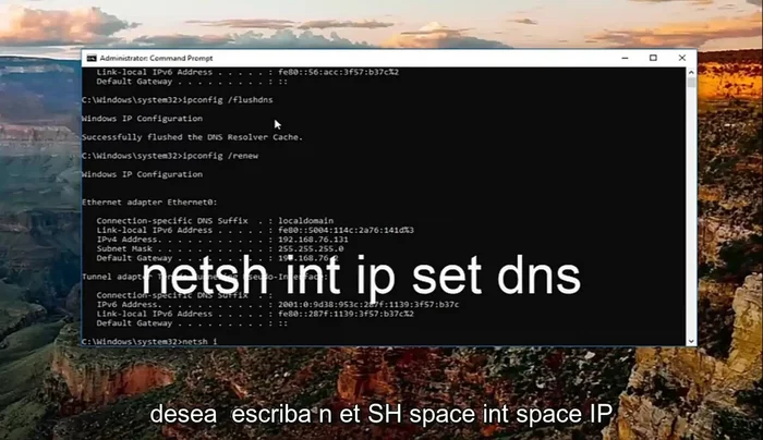 Escribe `netsh winsock reset` y presiona Enter.