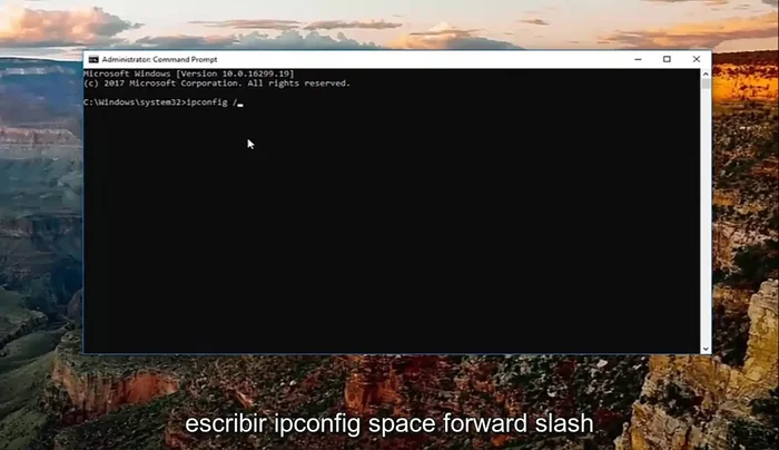 Escribe `ipconfig /renew` y presiona Enter.