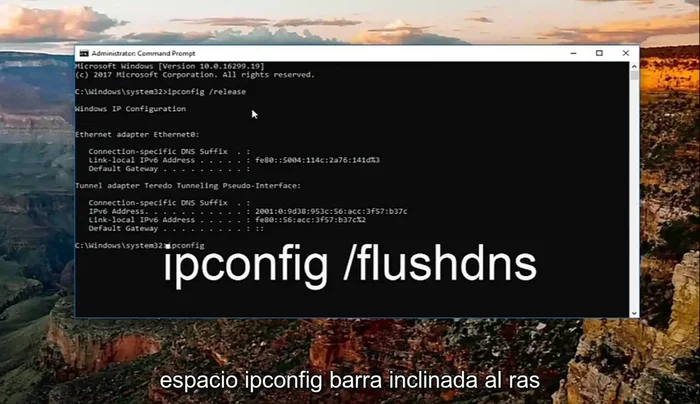 Escribe `ipconfig /renew` y presiona Enter.