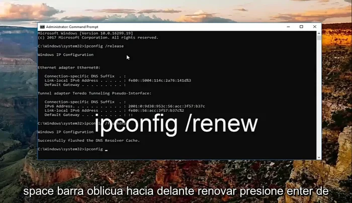 Escribe `ipconfig /renew` y presiona Enter.