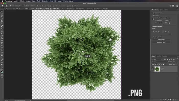 Selecciona una imagen PNG con fondo transparente o blanco.