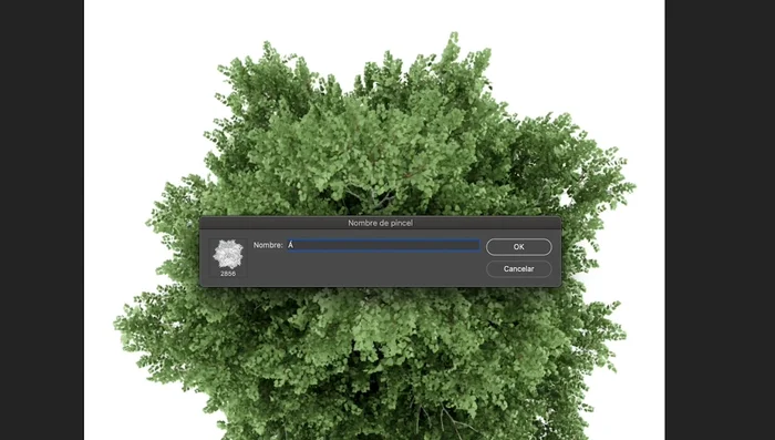 Nombra tu pincel.