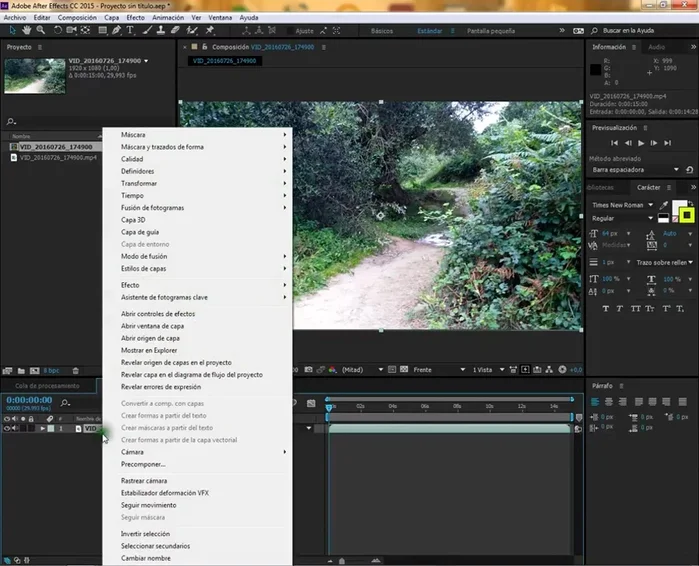 Esperar a que el programa analice el vídeo (proceso en segundo plano).