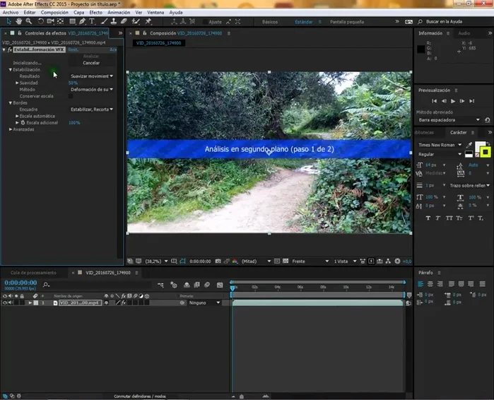 Esperar a que el programa analice el vídeo (proceso en segundo plano).
