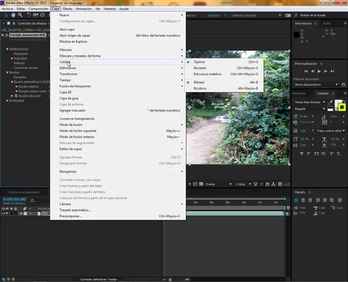 Ajustar la calidad del remuestreo en el menú 'Capa' si es necesario (bilineal o bicúbica).