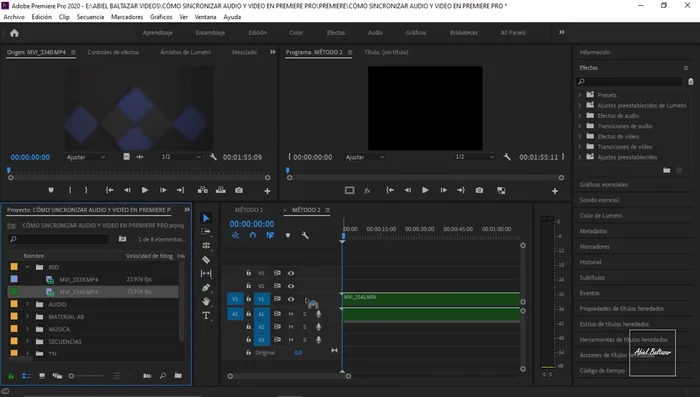 Seleccionar la opción 'Audio' y dejar 'Canal de pista' en '1'. Dar clic en 'Aceptar'.