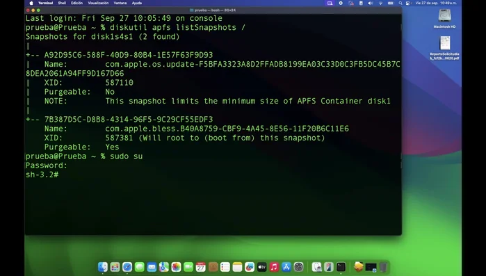 Montar el volumen: `sudo mount -t apfs -o ro /dev/diskXsY` (reemplazar XsY con la partición correcta).