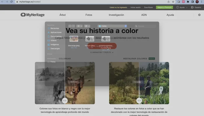 Sube la foto en blanco y negro.