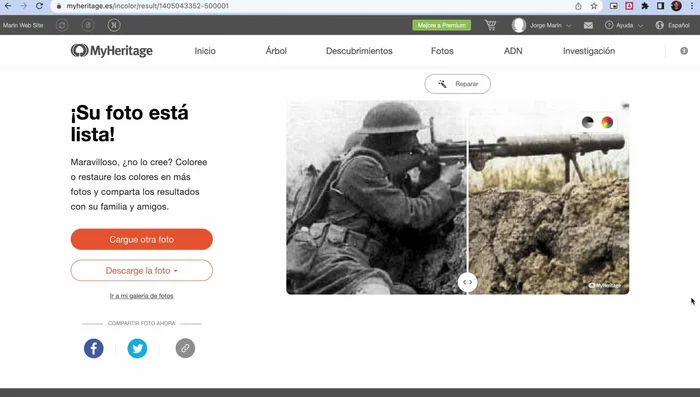 La web coloreará la imagen.