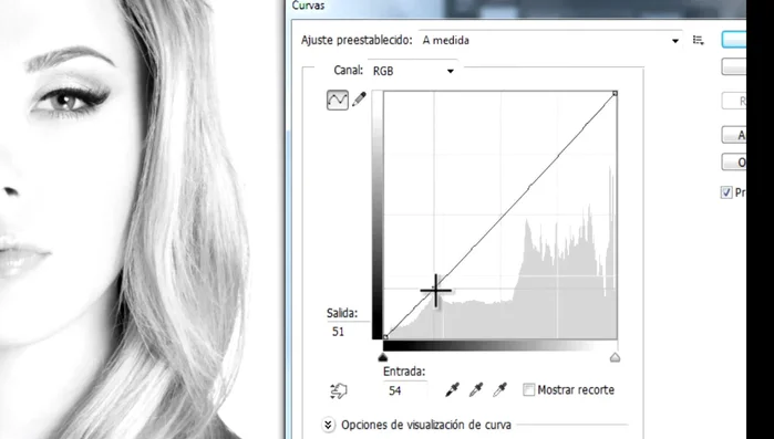 Ajustar las curvas para aumentar el contraste y resaltar las partes que se desean detallar (ej: ojos).