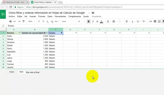 Para eliminar filas en blanco o con un estado específico, usar los filtros para seleccionar solo las filas con el estado deseado (ej: 'abierto').