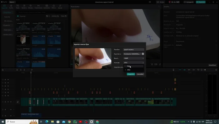 Elige el formato: PNG (sin pérdida de calidad) o JPG (con posible pérdida de calidad).