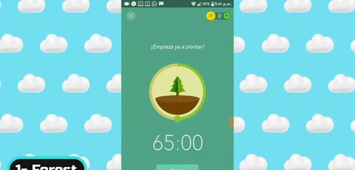 Completa el periodo de concentración para que tu árbol virtual sobreviva y se añada a tu bosque.