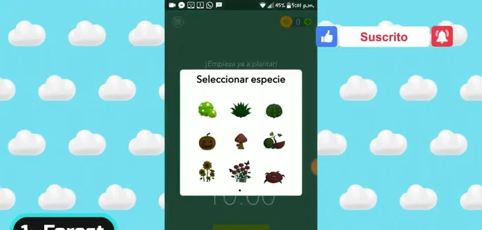 Completa el periodo de concentración para que tu árbol virtual sobreviva y se añada a tu bosque.