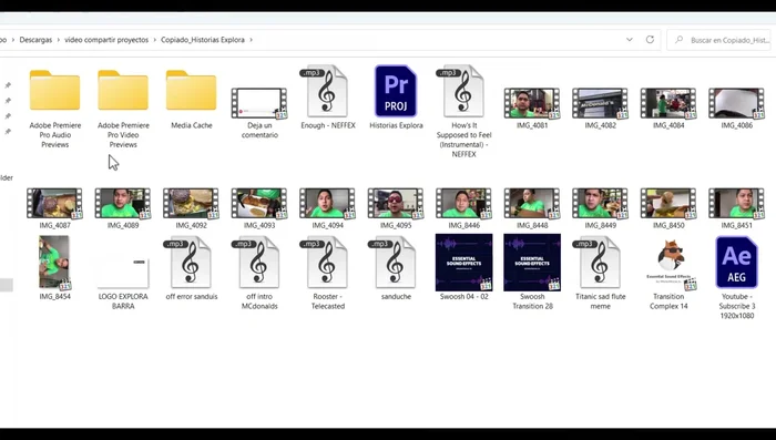 Una vez finalizado, encontrar la carpeta con todos los archivos en la ruta seleccionada.