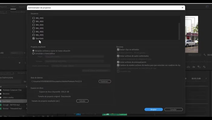Desactivar la opción que permite a Premiere cambiar los nombres de los archivos.