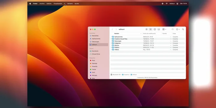 Eliminar archivos de Application Support