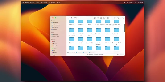 Eliminar archivos de Application Support