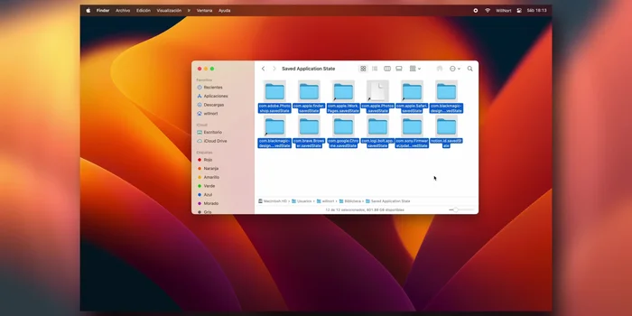 Eliminar archivos de Application Support