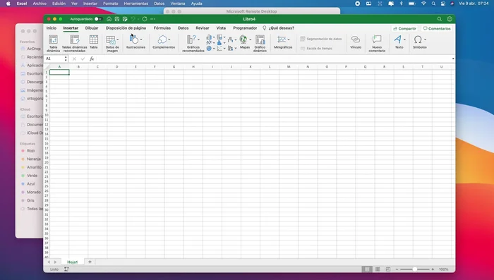 Pegar la URL o DNS de tu servidor remoto y proporcionar las credenciales de acceso.