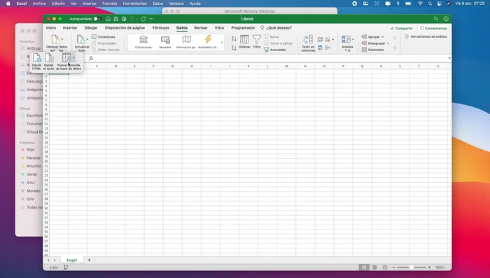 Pegar la URL o DNS de tu servidor remoto y proporcionar las credenciales de acceso.