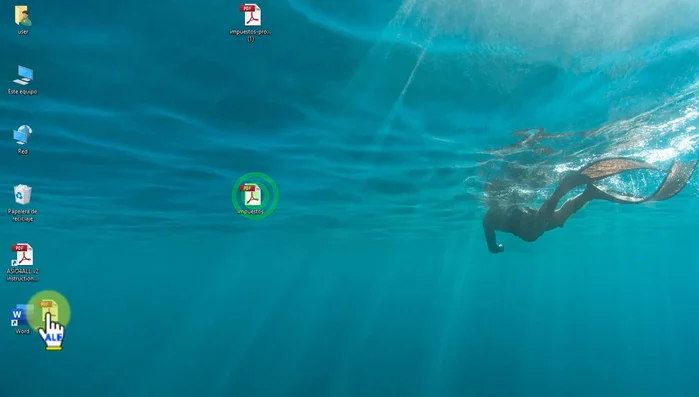 Convertir el PDF a documento Word.