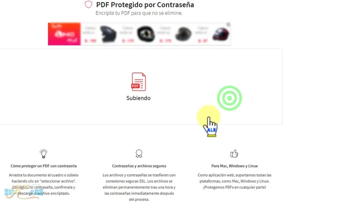 Descargar el PDF protegido.