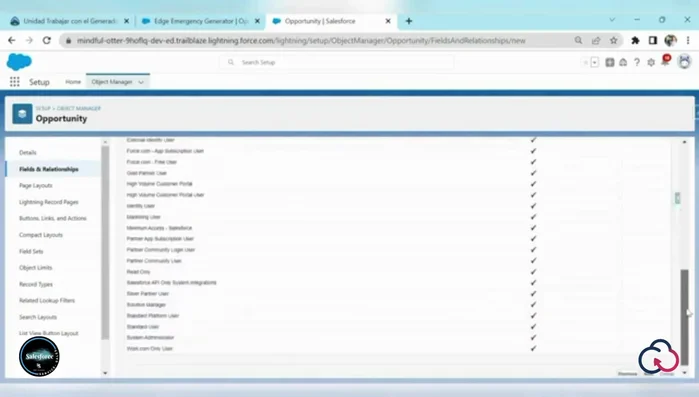 Asignar el campo al 'Page Layout' deseado.