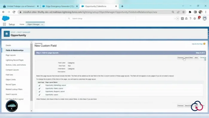 Asignar el campo al 'Page Layout' deseado.