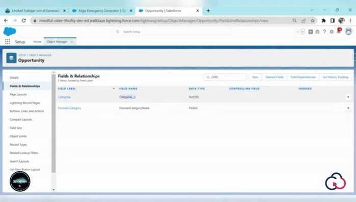 Guardar el nuevo campo.