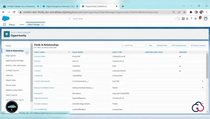 Asignar el campo al 'Page Layout' deseado.