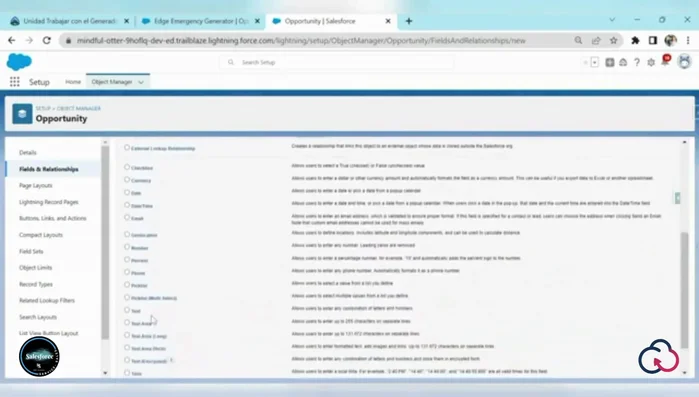 Asignar el campo al 'Page Layout' deseado.