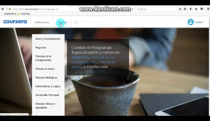 Filtra por idioma (español o inglés) según tu preferencia.