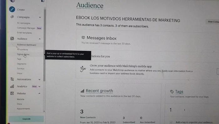 Crear un formulario utilizando la opción 'Crear formulario' dentro de 'Audiencias'.